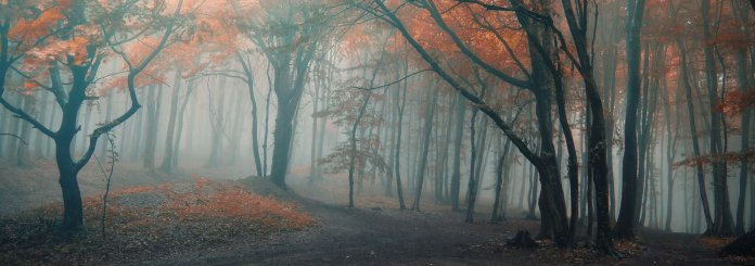 Wie herausfinden ob ein fluch schuld ist