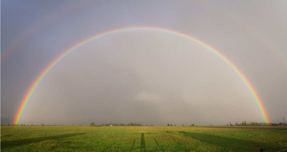 Liebe regenbogen bedeutung Pride Month
