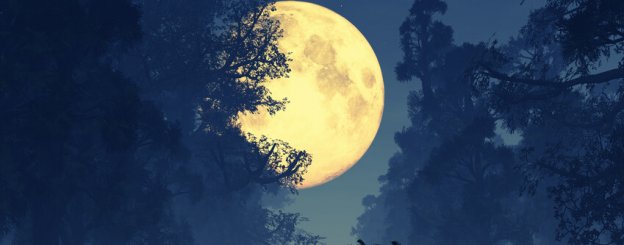 der Supermond